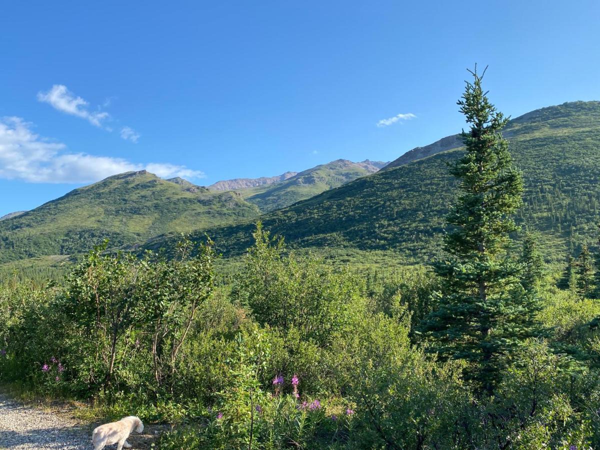 Denali Rv Park & Motel Healy Dış mekan fotoğraf